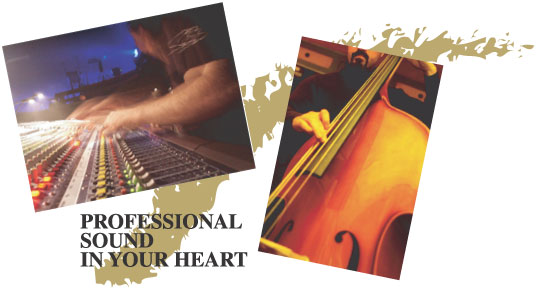 PROFESSIONAL SOUND IN YOUR HEART